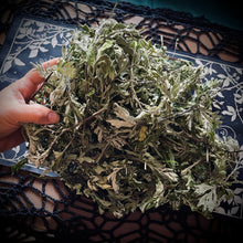 Load image into Gallery viewer, Pure Mugwort Ritual Oil - Astral Travel, Divination Work, Horoscope Reading, Fortune Teller, Mugwort Magic, Tea Reading, Shadow Work