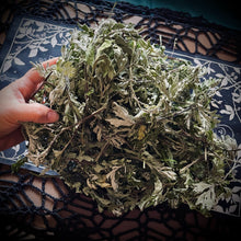 Load image into Gallery viewer, Pure Mugwort Ritual Oil - Astral Travel, Divination Work, Horoscope Reading, Fortune Teller, Mugwort Magic, Tea Reading, Shadow Work
